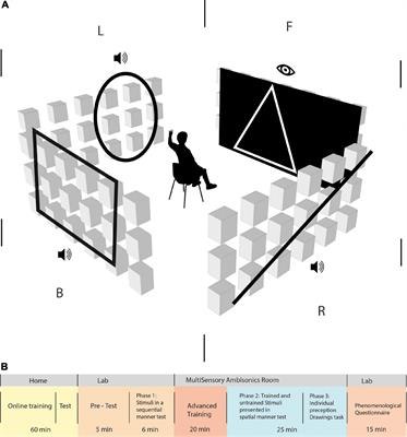 Shape detection beyond the visual field using a visual-to-auditory sensory augmentation device